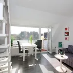 Dünenrose App. 11